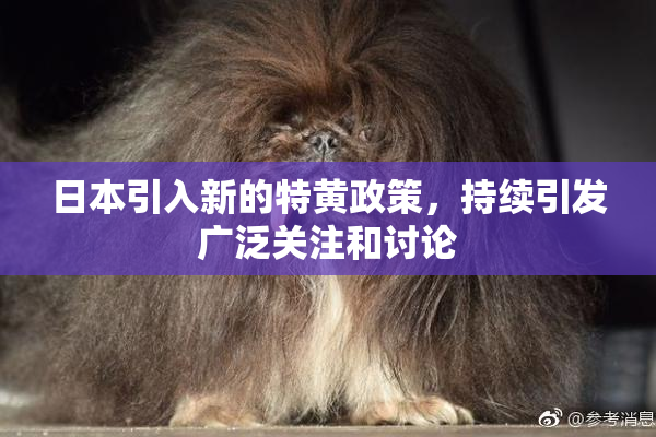 日本引入新的特黄政策，持续引发广泛关注和讨论