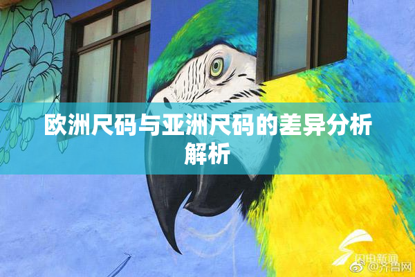 欧洲尺码与亚洲尺码的差异分析解析