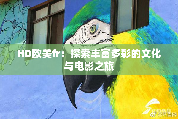 HD欧美fr：探索丰富多彩的文化与电影之旅