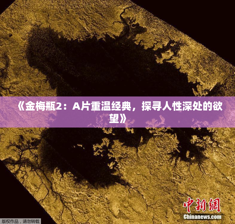 《金梅瓶2：A片重温经典，探寻人性深处的欲望》