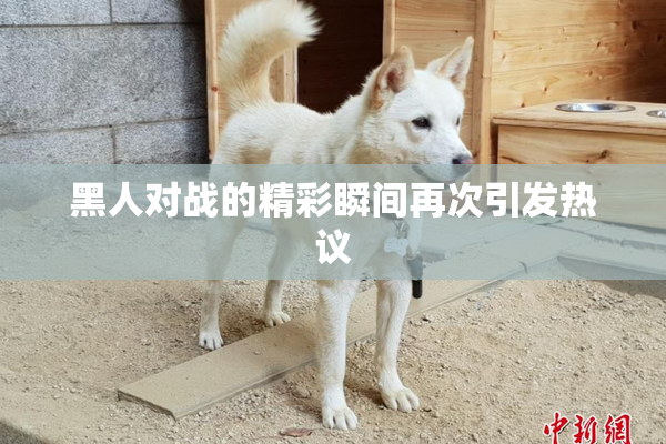 黑人对战的精彩瞬间再次引发热议