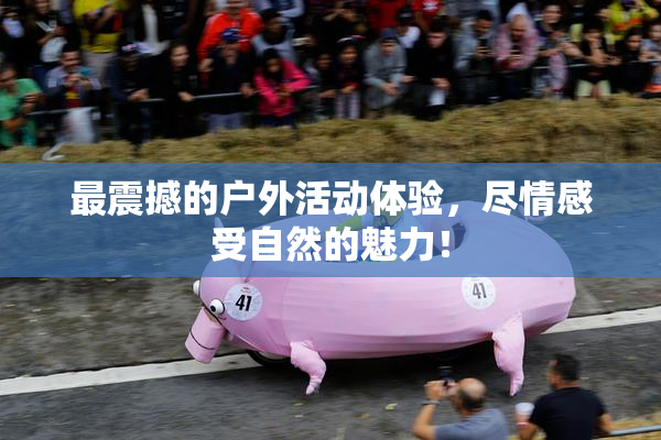 最震撼的户外活动体验，尽情感受自然的魅力！