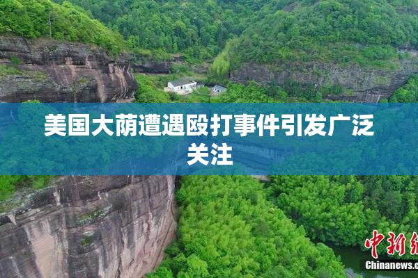 美国大荫遭遇殴打事件引发广泛关注