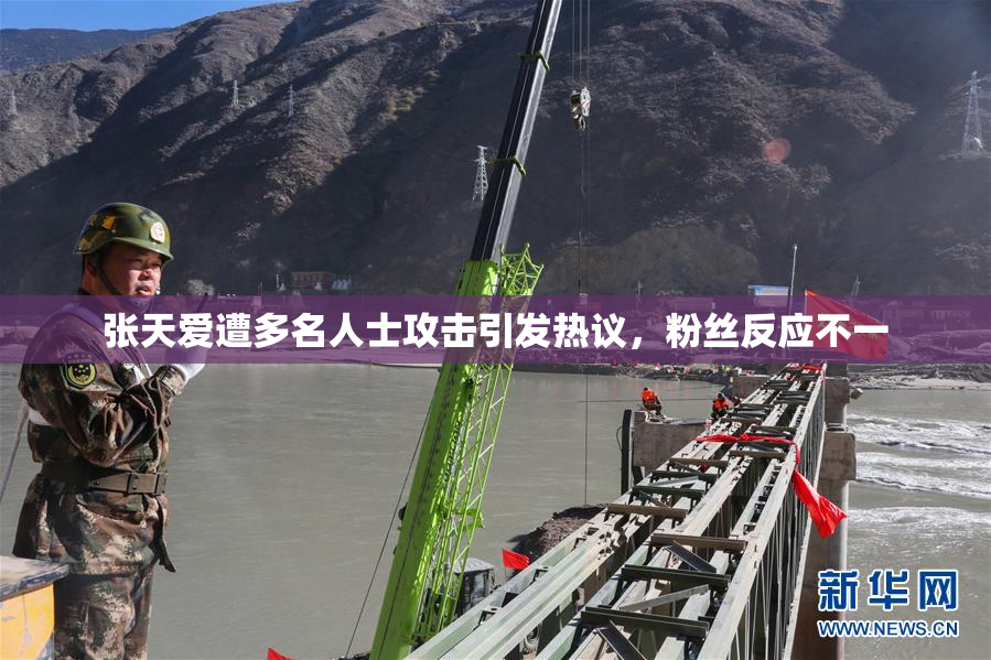 张天爱遭多名人士攻击引发热议，粉丝反应不一