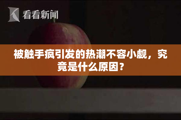 被触手疯引发的热潮不容小觑，究竟是什么原因？