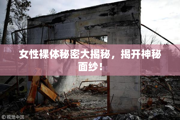 女性裸体秘密大揭秘，揭开神秘面纱！