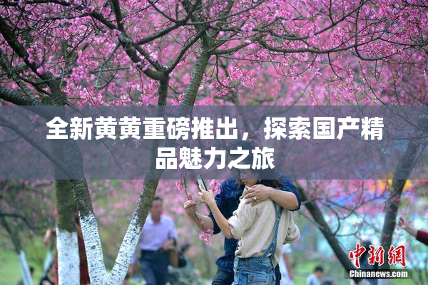 全新黄黄重磅推出，探索国产精品魅力之旅