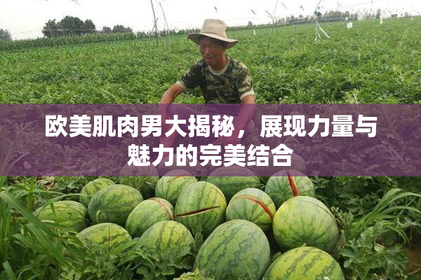 欧美肌肉男大揭秘，展现力量与魅力的完美结合
