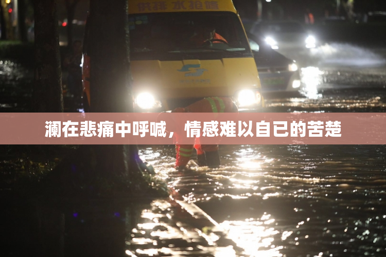 澜在悲痛中呼喊，情感难以自已的苦楚