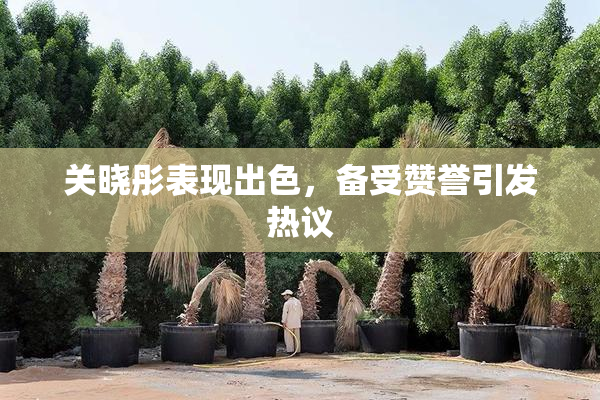 关晓彤表现出色，备受赞誉引发热议