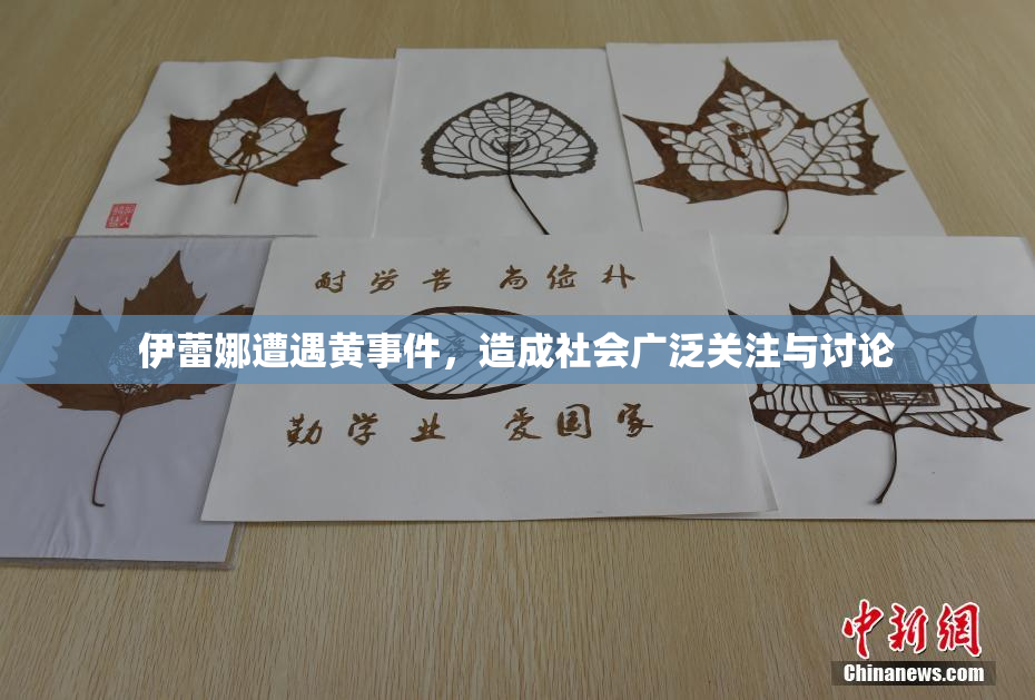 伊蕾娜遭遇黄事件，造成社会广泛关注与讨论