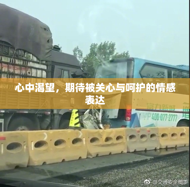 心中渴望，期待被关心与呵护的情感表达