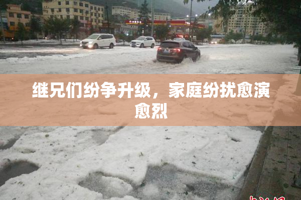 继兄们纷争升级，家庭纷扰愈演愈烈