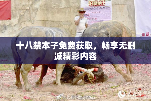 十八禁本子免费获取，畅享无删减精彩内容