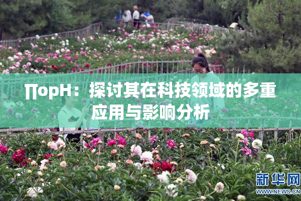 ∏opH：探讨其在科技领域的多重应用与影响分析