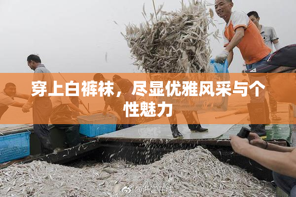 穿上白裤袜，尽显优雅风采与个性魅力