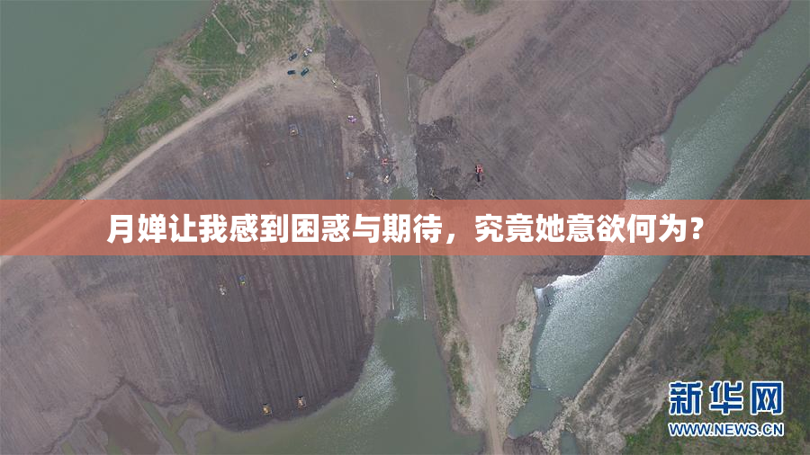 月婵让我感到困惑与期待，究竟她意欲何为？