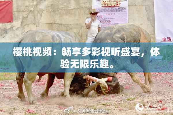 樱桃视频：畅享多彩视听盛宴，体验无限乐趣。