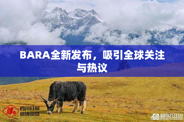 BARA全新发布，吸引全球关注与热议