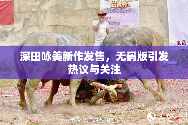 深田咏美新作发售，无码版引发热议与关注