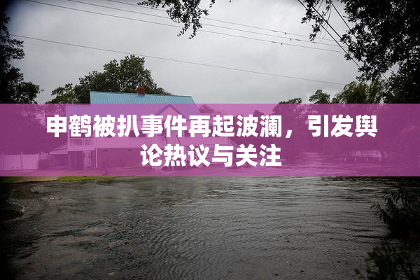 申鹤被扒事件再起波澜，引发舆论热议与关注