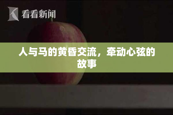 人与马的黄昏交流，牵动心弦的故事