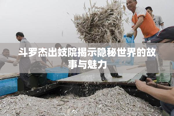 斗罗杰出妓院揭示隐秘世界的故事与魅力