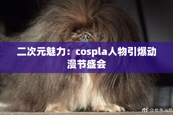 二次元魅力：cospla人物引爆动漫节盛会