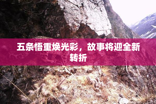 五条悟重焕光彩，故事将迎全新转折
