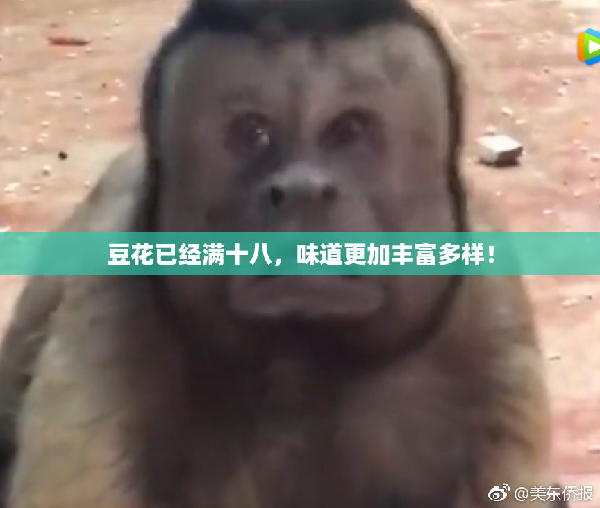 豆花已经满十八，味道更加丰富多样！