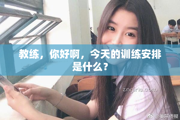 教练，你好啊，今天的训练安排是什么？