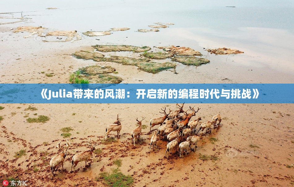 《Julia带来的风潮：开启新的编程时代与挑战》