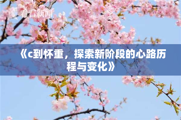 《c到怀重，探索新阶段的心路历程与变化》