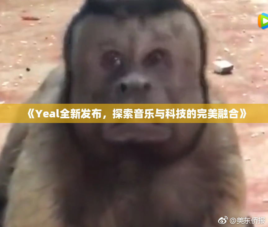 《Yeal全新发布，探索音乐与科技的完美融合》