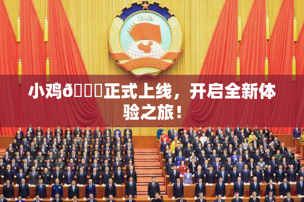 小鸡🐔正式上线，开启全新体验之旅！