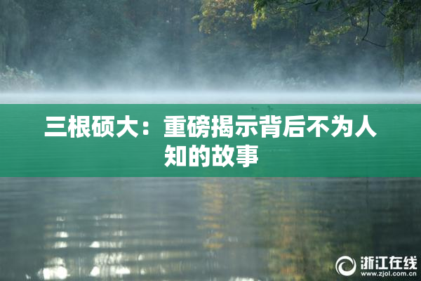 三根硕大：重磅揭示背后不为人知的故事