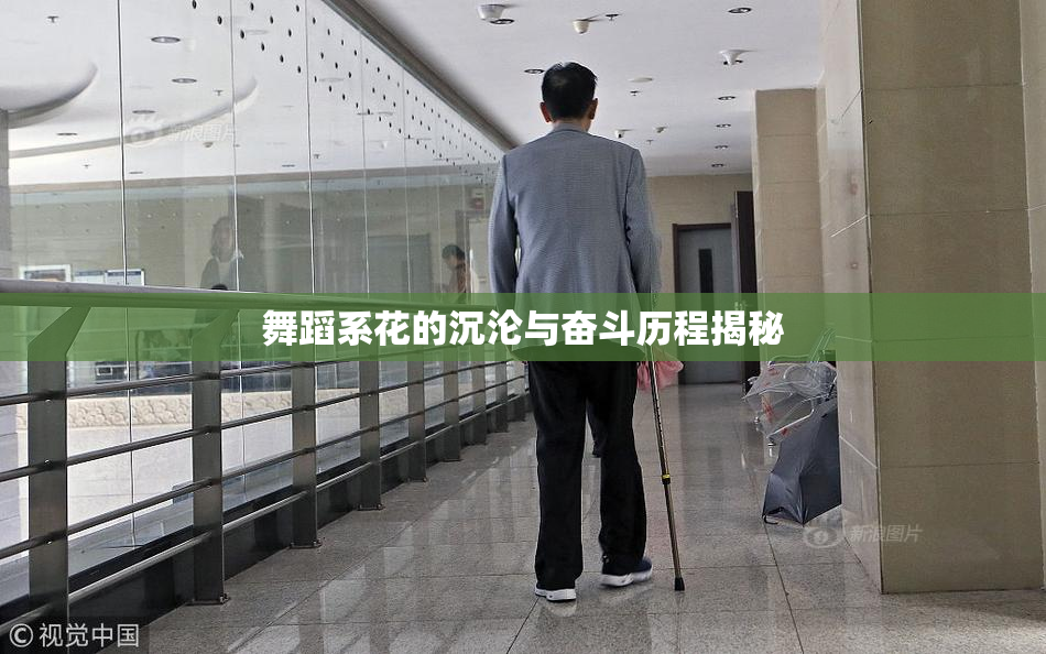 舞蹈系花的沉沦与奋斗历程揭秘