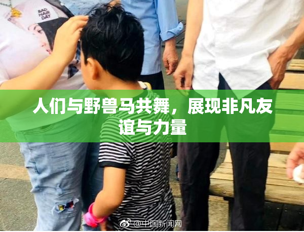 人们与野兽马共舞，展现非凡友谊与力量