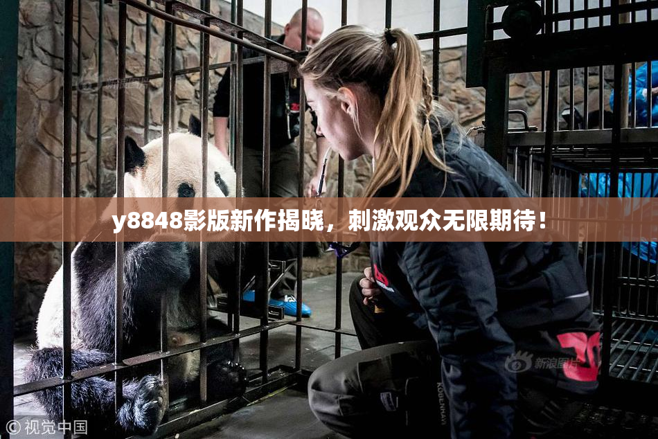 y8848影版新作揭晓，刺激观众无限期待！
