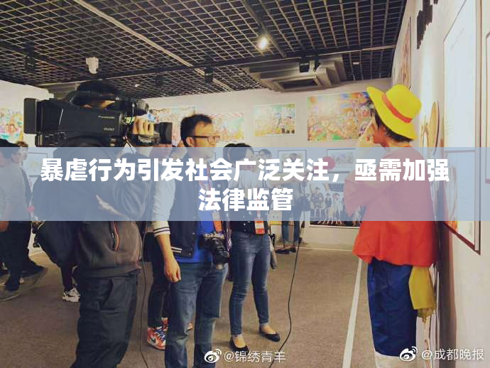 暴虐行为引发社会广泛关注，亟需加强法律监管