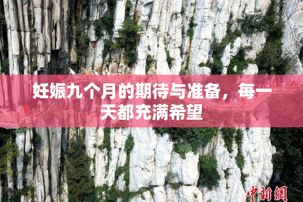 妊娠九个月的期待与准备，每一天都充满希望