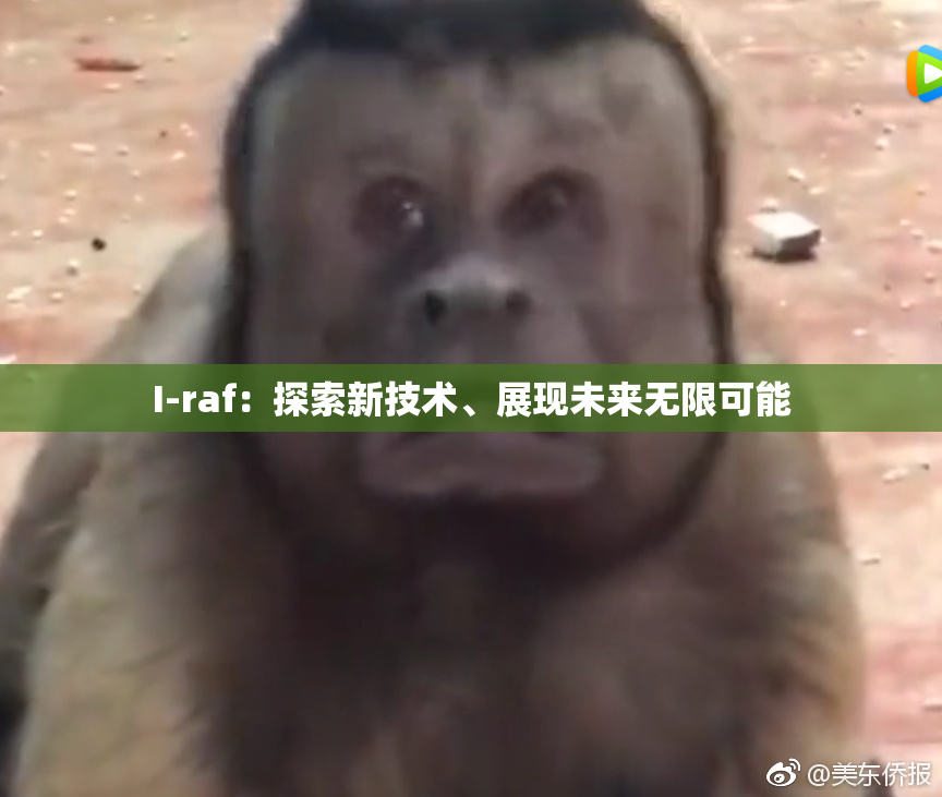 I-raf：探索新技术、展现未来无限可能