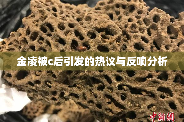 金凌被c后引发的热议与反响分析