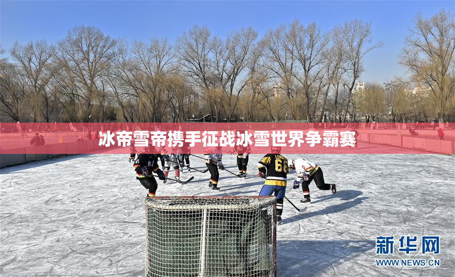 冰帝雪帝携手征战冰雪世界争霸赛