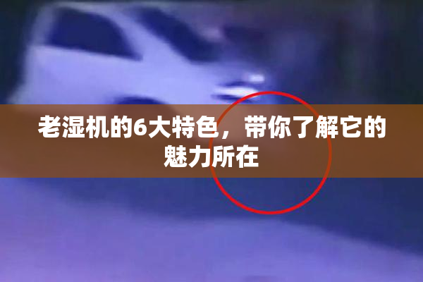 老湿机的6大特色，带你了解它的魅力所在