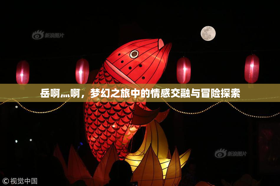 岳啊灬啊，梦幻之旅中的情感交融与冒险探索