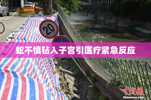 蛇不慎钻入子宫引医疗紧急反应