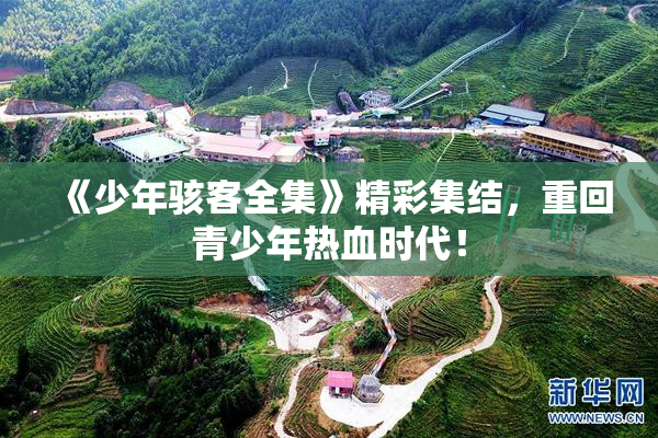 《少年骇客全集》精彩集结，重回青少年热血时代！