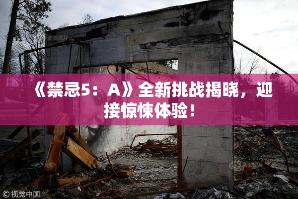 《禁忌5：A》全新挑战揭晓，迎接惊悚体验！