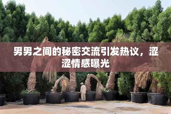 男男之间的秘密交流引发热议，涩涩情感曝光